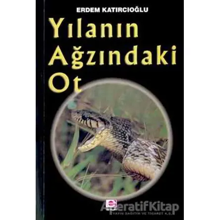 Yılanın Ağzındaki Ot - Erdem Katırcıoğlu - E Yayınları
