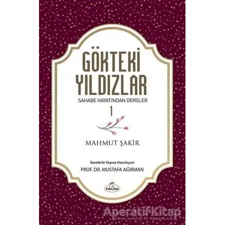 Gökteki Yıldızlar - 1 - Mahmut Şakir - Ravza Yayınları