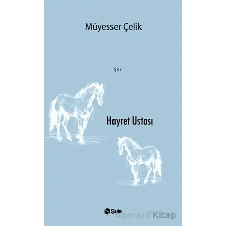 Hayret Ustası - Müyesser Çelik - Şule Yayınları