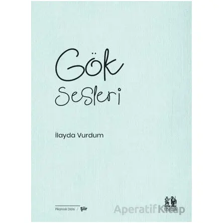 Gök Sesleri - İlayda Vurdum - Pikaresk Yayınevi
