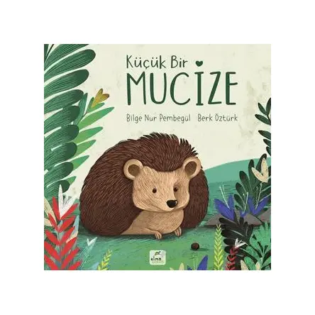 Küçük Bir Mucize - Bilge Nur Pembegül - Elma Çocuk