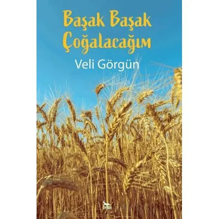 Başak Başak Çoğalacağım - Veli Görgün - Ceylan Yayınları