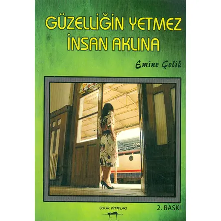 Güzelliğin Yetmez İnsan Aklına - Emine Çelik - Sokak Kitapları Yayınları