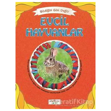 Bildiğin Gibi Değil - Evcil Hayvanlar - Asena Meriç - Yediveren Çocuk
