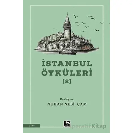 İstanbul Öyküleri 2 - Kolektif - Çınaraltı Yayınları