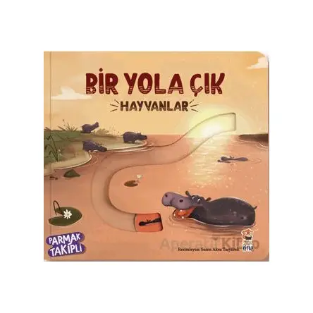 Bir Yola Çık - Hayvanlar - Kolektif - Sincap Kitap