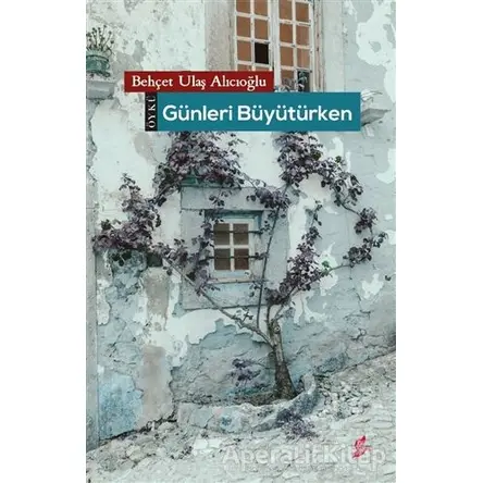 Günleri Büyütürken - Behçet Ulaş Alıcıoğlu - Okur Kitaplığı
