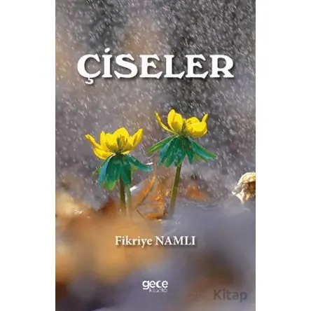 Çiseler - Fikriye Namlı - Gece Kitaplığı