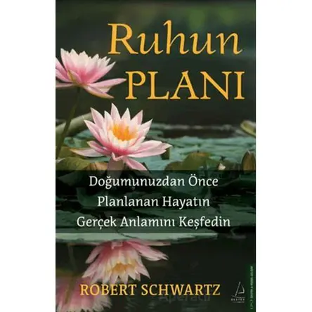 Ruhun Planı - Robert Schwartzman - Destek Yayınları