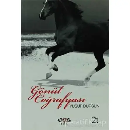 Gönül Coğrafyası - Yusuf Dursun - Nar Yayınları