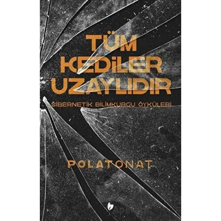 Tüm Kediler Uzaylıdır - Polat Onat - Buğday Kitap