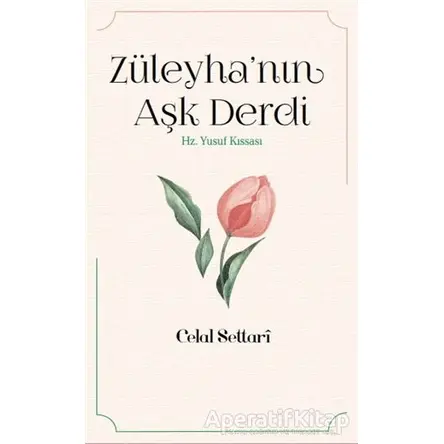 Züleyha’nın Aşk Derdi - Celal Settari - İnsan Yayınları