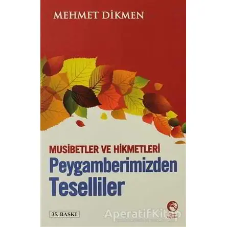 Peygamberimizden Teselliler - Mehmet Dikmen - Cihan Yayınları