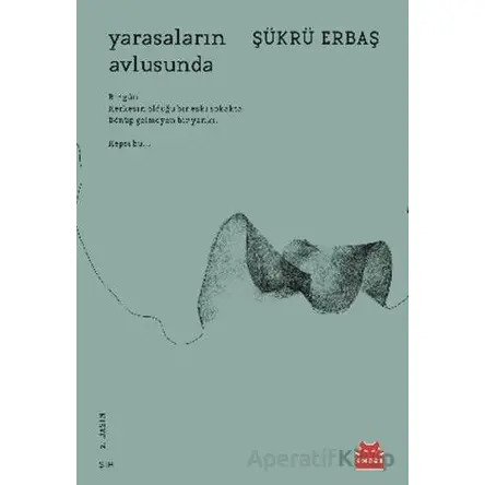 Yarasaların Avlusunda - Şükrü Erbaş - Kırmızı Kedi Yayınevi