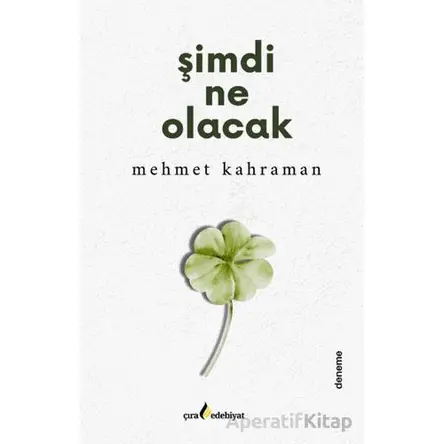 Şimdi Ne Olacak - Mehmet Kahraman - Çıra Yayınları