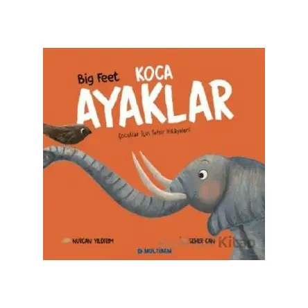 Koca Ayaklar - Nurcan Yıldırım - Multibem Yayınları