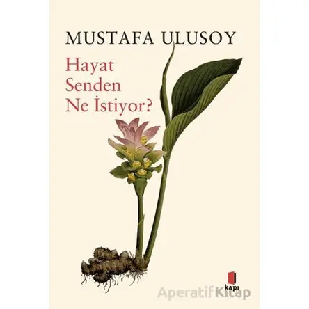 Hayat Senden Ne İstiyor? - Mustafa Ulusoy - Kapı Yayınları