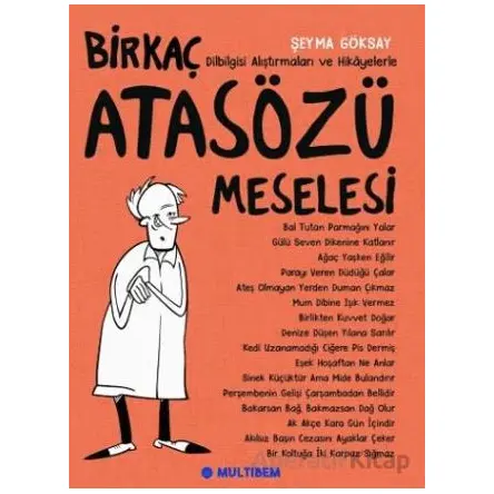 Birkaç Atasözü Meselesi - Şeyma Göksay - Multibem Yayınları