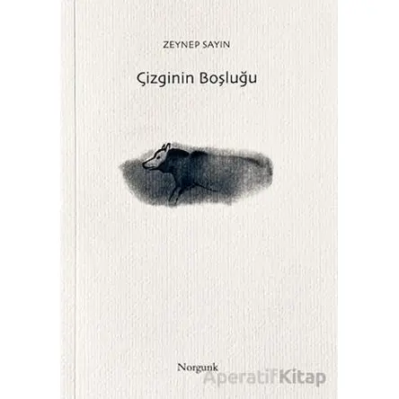Çizginin Boşluğu - Zeynep Sayın - Norgunk Yayıncılık