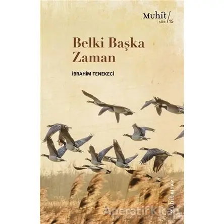 Belki Başka Zaman - İbrahim Tenekeci - Muhit Kitap