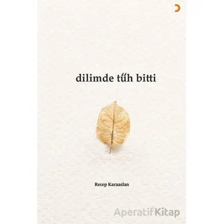 Dilimde Tüh Bitti - Recep Karaaslan - Cinius Yayınları
