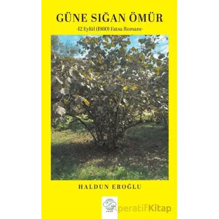 Güne Sığan Ömür - Haldun Eroğlu - Post Yayınevi