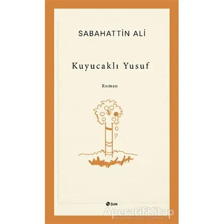 Kuyucaklı Yusuf - Sabahattin Ali - Şule Yayınları