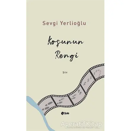 Koşunun Rengi - Sevgi Yerlioğlu - Şule Yayınları