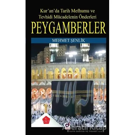 Peygamberler 6. Cilt - Mehmet Şenlik - Dua Yayınları