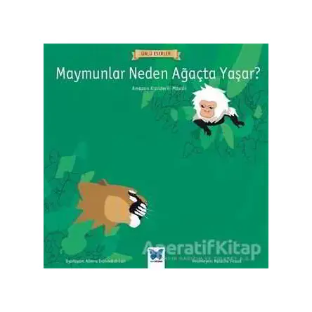 Maymunlar Neden Ağaçta Yaşar? - Kolektif - Mavi Kelebek Yayınları