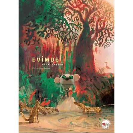 Evimde - Mark Janssen - Can Çocuk Yayınları