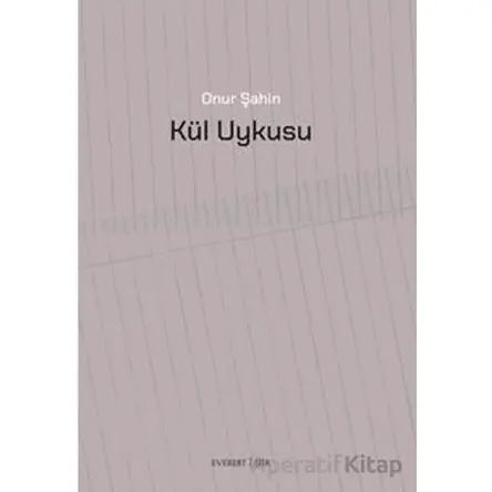 Kül Uykusu - Onur Şahin - Everest Yayınları