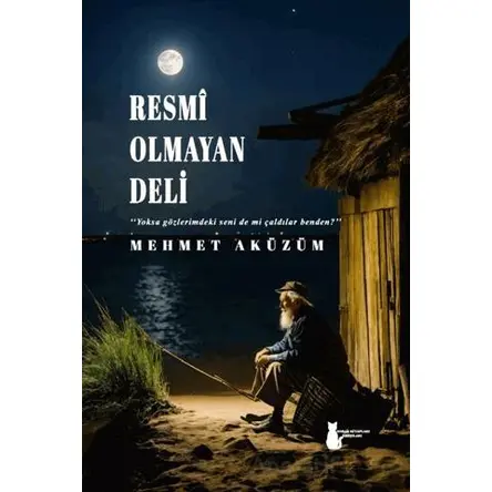 Resmi Olmayan Deli - Mehmet Aküzüm - Sokak Kitapları Yayınları