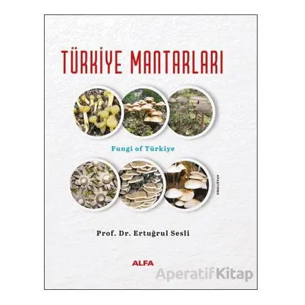Türkiye Mantarları - Ertuğrul Sesli - Alfa Yayınları