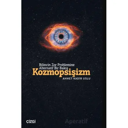 Bilincin Zor Problemine Alternatif Bir Bakış/ Kozmopsişizm