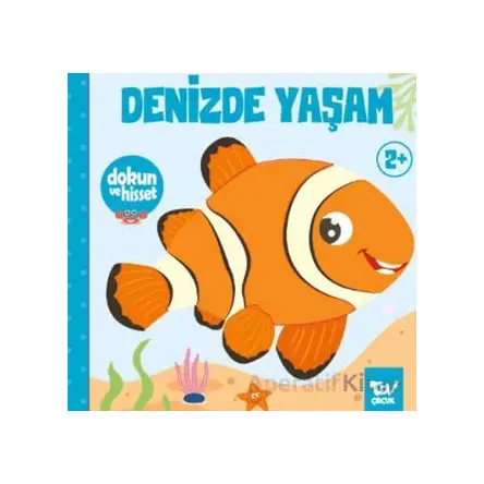 Dokun ve Hisset Denizde Yaşam - Kolektif - Türkiye Diyanet Vakfı Yayınları
