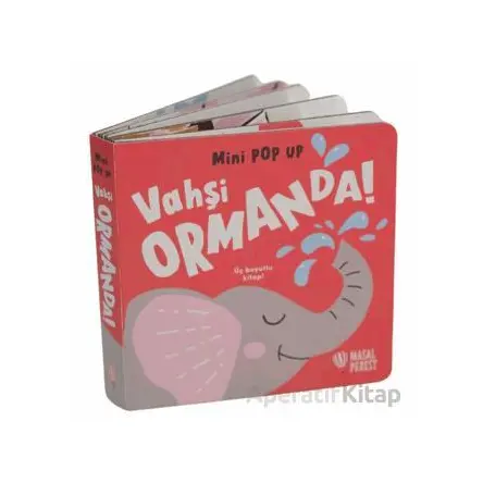 Mini Pop Up - Vahşi Ormanda - Kolektif - Masalperest