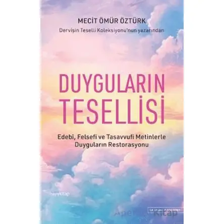Duyguların Tesellisi - Mecit Ömür Öztürk - Hayykitap