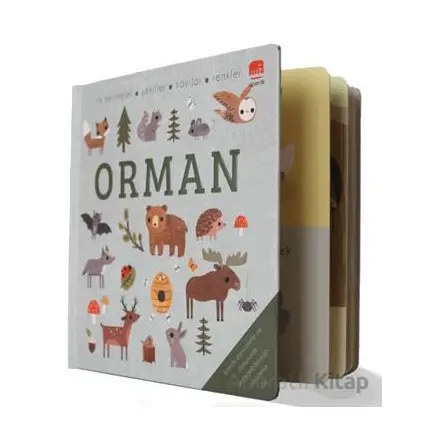 Say Bul Eğlen Orman - Kollektif - Uçan Fil Yayınları