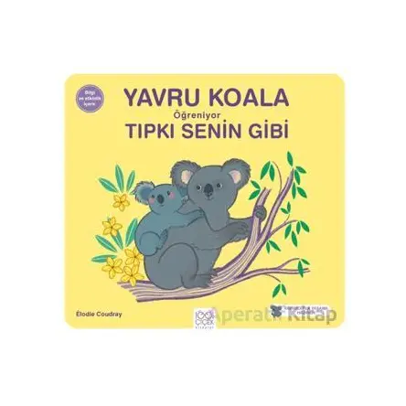 Yavru Koala Öğreniyor Tıpkı Senin Gibi - Elodie Coudray - 1001 Çiçek Kitaplar