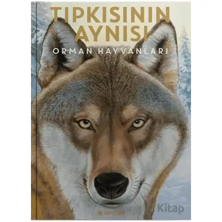 Tıpkısının Aynısı - Holger Haag - Usturlab Kitap