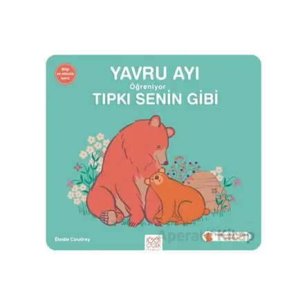 Yavru Ayı Öğreniyor Tıpkı Senin Gibi - Elodie Coudray - 1001 Çiçek Kitaplar