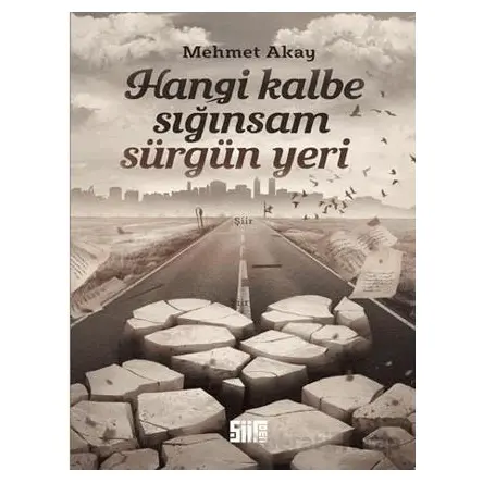 Hangi Kalbe Sığınsam Sürgün Yeri - Mehmet Akay - Şiirden Yayıncılık