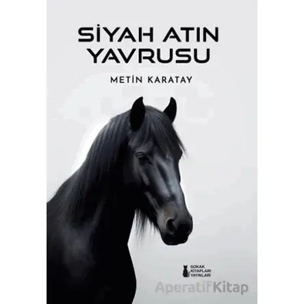 Siyah Atın Yavrusu - Metin Karatay - Sokak Kitapları Yayınları