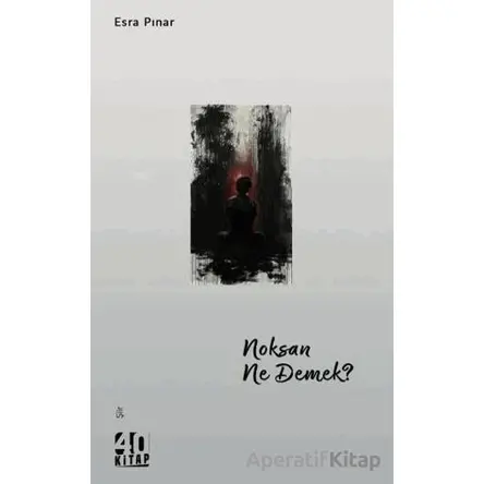 Noksan Ne Demek? - Esra Pınar - 40 Kitap