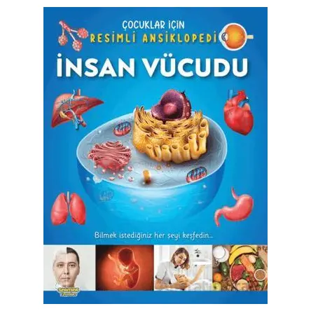 İnsan Vücudu / Çocuklar İçin Resimli Ansiklopedi - Kolektif - Yumurcak Yayınları