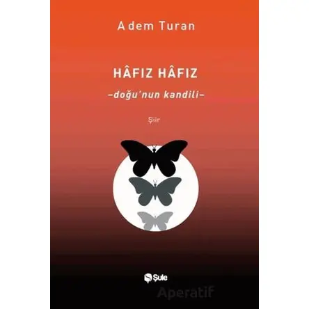 Hafız Hafız - Adem Turan - Şule Yayınları