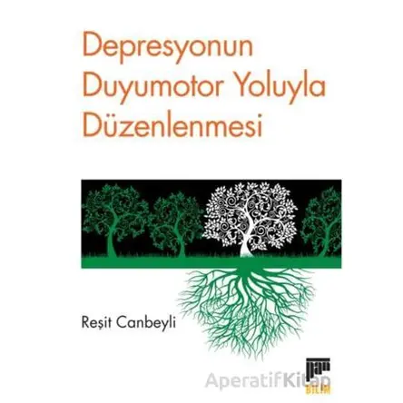 Depresyonun Duyumotor Yoluyla Düzenlenmesi - Reşit Canbeyli - Pan Yayıncılık