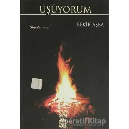Üşüyorum - Bekir Aşba - Chiviyazıları Yayınevi