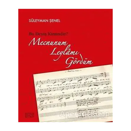 Mecnunum Leylamı Gördüm - Süleyman Şenel - Siyah Kitap